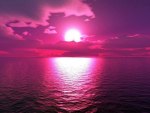 Sunset Sea Raspberry