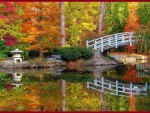 Autumn in Japanese Garden