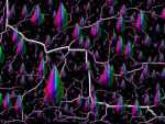 rainbow-rain-and-lightning