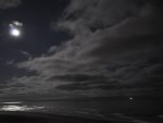 Oregon Coast at night