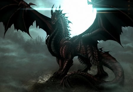 Dragon - cg, black, fantasy, dragon