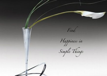 Find happiness in simple things - happiness, sense, things, words, wallpaper