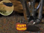 Happy Halloween
