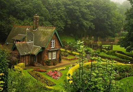 home and gardening landscape