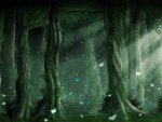 Magical Forest