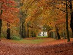 Autumn Cottage