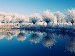 Reflection in Winter