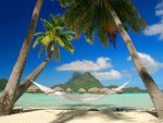 Hammock On The Beach