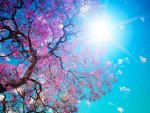 Spring Time