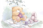 Teddy Bear's Picnic