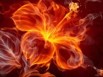 Fire flower