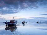 Blue Dawn