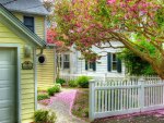 the house full of flowers