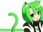 neko anime