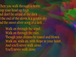 You'll Never Walk Alone : Words for Stormy Times