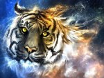 Tiger Fantasy