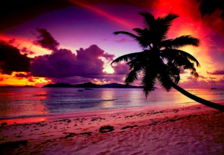 Twilight Paradise Sunsets Nature Background Wallpapers On Desktop Nexus Image