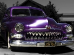 The Beast