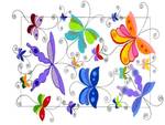 Spring Butterflies