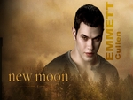 Twilight - Emmett Cullen