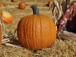 Getting Close to Halloween