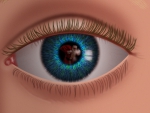 Throught the eyes of a child