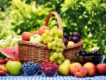 *** Basket of health ***