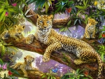 Leopard family