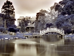 Japanese Garden Bridge