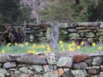 Cemetery in Spring