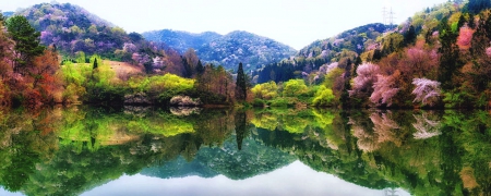 Seryang-je Lake, South Korea - trees, hills, blue, beautiful, reservoir, spring, forest, reflection, pink, red, green, lake