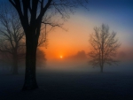 Foggy Sunrise