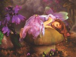 Sleeping fairy