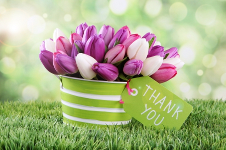 Thank You - flowers, bokeh, tulips, nature, splendor, thank you, with love, tulip