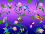 Butterflies & Birds