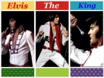 Elvis The King