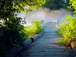 Misty bridge