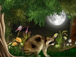 Full Moon Raccoon