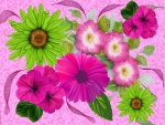 Big Pink And Green Flower Display