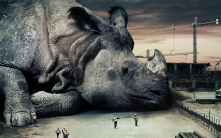 Giant rhino - people, city, creative, disaster, giant, fantasy, animal, situation, rhino