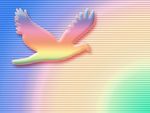 Rainbow Dove