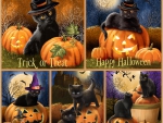 Trick or Treat
