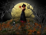 Halloween 2014