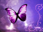 Purple Butterfly