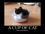 Cup O' Cat