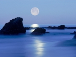 Laguna Beach by Moonlight