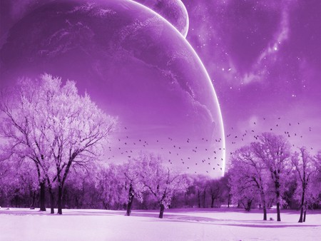 PURPLE WORLD - clouds, trees, birds, planet, earth, pink, stars, space, planets, fantasy, purple, land, 3d, art, sky