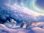 Winter Rabbits