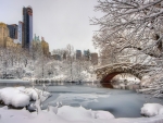 New York in Winter