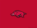 Arkansas Logo